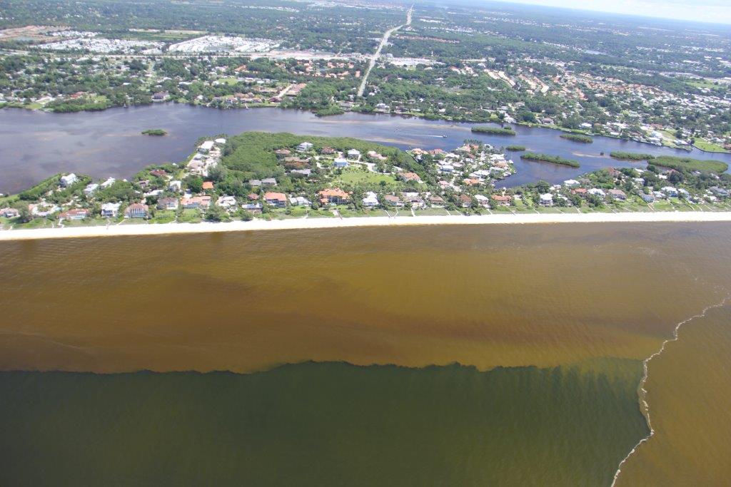 New Studies to Uncover the Costs of  Florida’s Red Tide