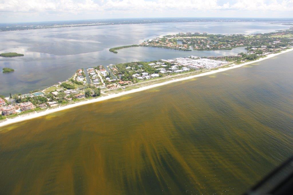 New Red Tide Indexes