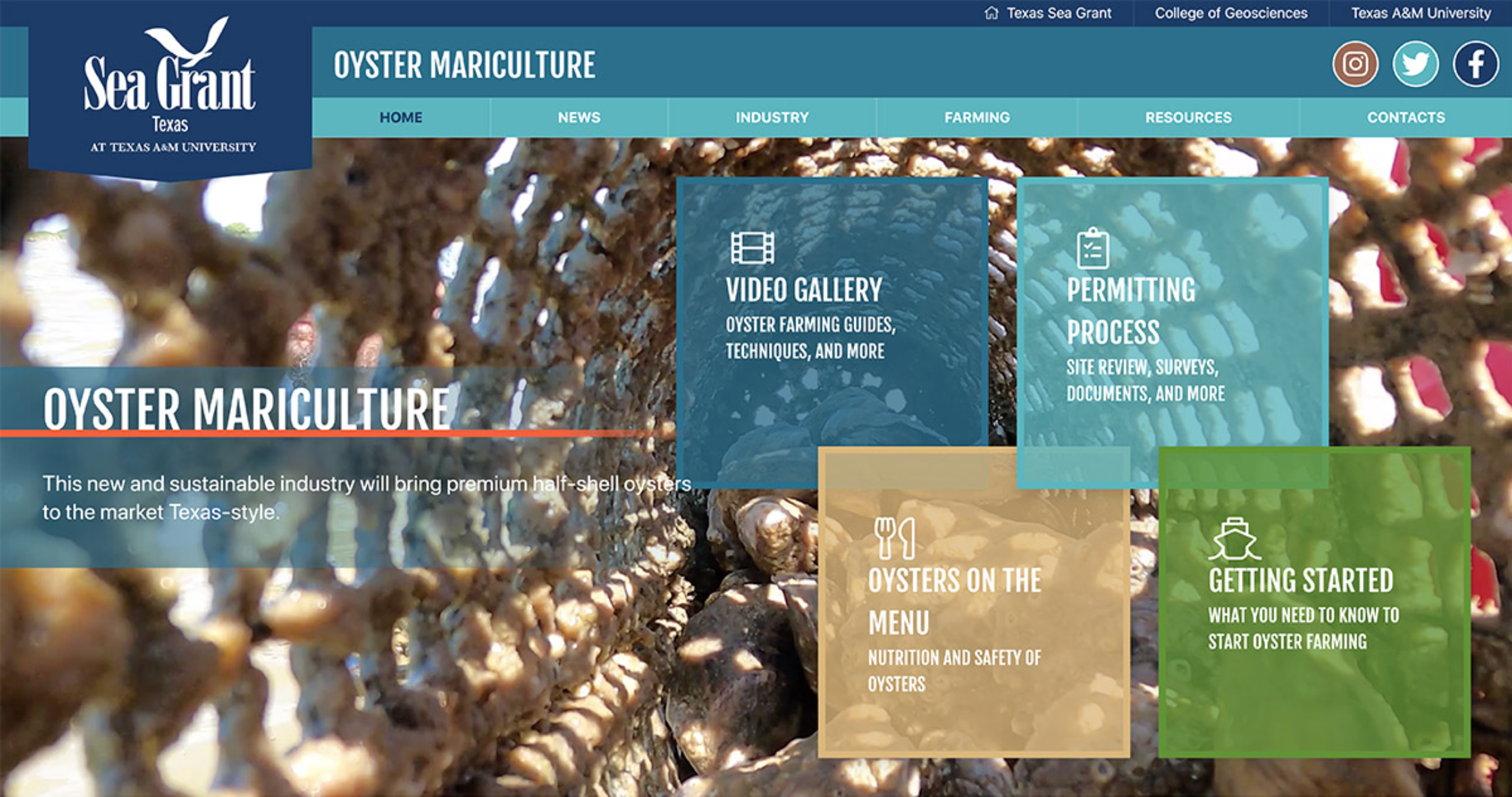 New Oyster Mariculture Site