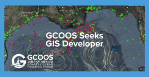 Seeking a GIS Developer
