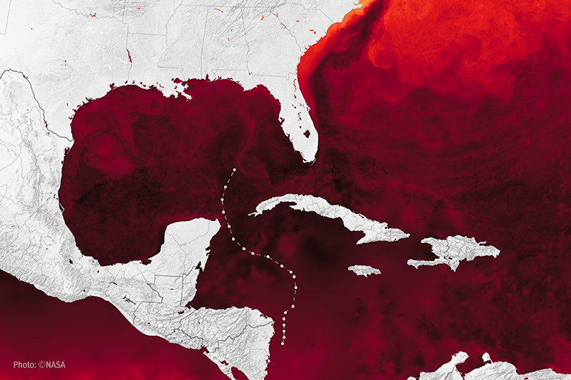 GCOOS Summer Webinar Series: Marine Heat Waves
