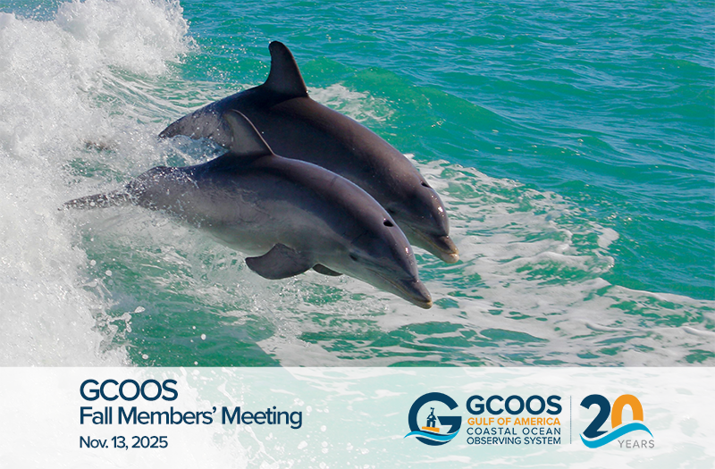GCOOS Fall Meeting 2025 Recap
