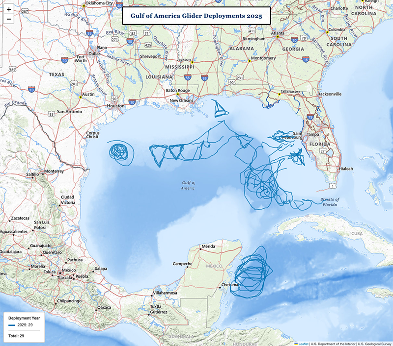 GANDALF AUV Piloting Portal: 2025 Year in Review