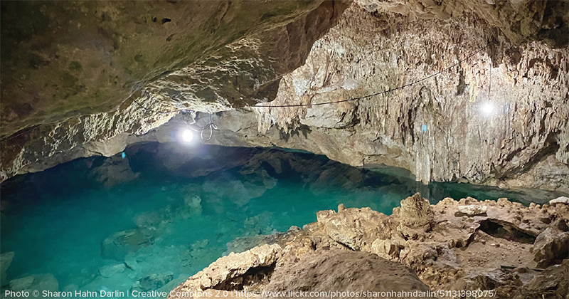 GCAN Webinar: Hidden Carbon Sources