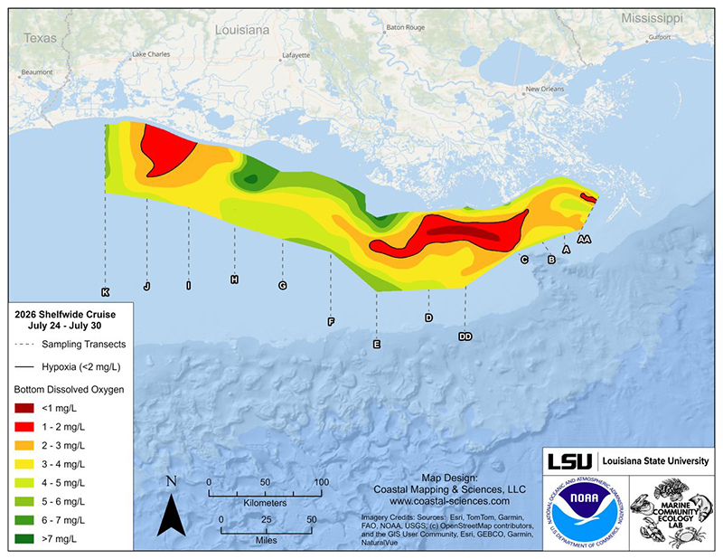 2026 Dead Zone Report